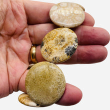 Load image into Gallery viewer, 1 Fossilized Coral 35mm Coin Pendant Bead 9156