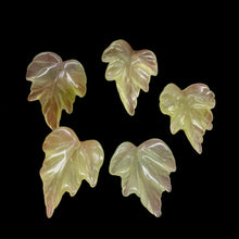 Load image into Gallery viewer, Carved Serpentine New Jade Leaf Bead Set | 26x21x4 to 28x22x4mm | 5 Beads |