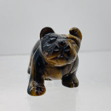 Load image into Gallery viewer, Hand-Carved Chinese Shar-pei Puppy | 1. 1/4" Tall | Tiger Eye | 1 Figurine |