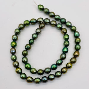 Fresh Water Pearls 16" Strand | Oval | 8x7mm | Rainbow Evergreen | 50 Pearls |