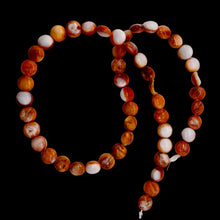 Load image into Gallery viewer, Spiny Oyster Flat Round 16" Bead Strand | 8x4mm | Orange White | 51 Beads |