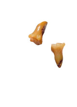 Load image into Gallery viewer, 2 Carved Mookaite Trumpet Flower Bead 8919B
