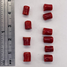 Load image into Gallery viewer, Natural AAA Red Coral Branch Tube Beads | 6 to 7 x 4mm | Red | Tube | 10 Beads |