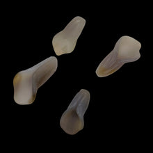 Load image into Gallery viewer, Chalcedony Carved Lily Flower Beads| 33x16x10 to 26x13x8mm | Lignt Lavender | 4|
