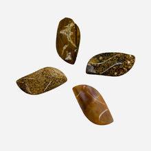 Load image into Gallery viewer, Ocean Jasper Wavy Pendant Beads - Assorted Colors | 31x16x5mm | 4 Beads |