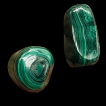 Load image into Gallery viewer, Malachite Polished Gemstone Nugget | 37x25 to 25x17mm|Green| 2 Display Specimen|