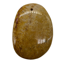 Load image into Gallery viewer, Fossilized Coral Oval Pendant Bead | 58x41x6mm | Beige Orange |