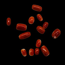Load image into Gallery viewer, Coral Natural Oval Beads | Salmon, Red | 14 Beads | 5x3 to 7x4mm |
