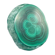 Load image into Gallery viewer, Malachite 36g Polished Round Stalactite Slice | 43x3=x8mm | Green | 1 Specimen |