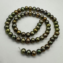 Load image into Gallery viewer, Fresh Water Pearls 16" Strand Round Pearls | 7mm | Golden Green | 1 Strand |
