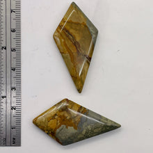 Load image into Gallery viewer, Owyhee Jasper Kite Briolette Beads | 43x23x4mm | Brown Gray | 2 Pendant Beads |