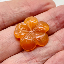 Load image into Gallery viewer, Plumeria! Carved Carnelian Hawaiian Flower Bead | Orange | 25x6mm | 1 Bead |
