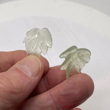 Load image into Gallery viewer, Serpentine New Jade Leaf Beads | 26x24x3 to 27x27x4mm|Clear Pale Green| 2 Beads|
