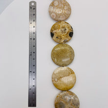 Load image into Gallery viewer, 1 Fossilized Coral 35mm Coin Pendant Bead 9156