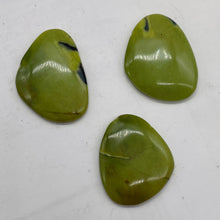 Load image into Gallery viewer, Turquoise Faustite | 32x24 to 30x25mm | Chartreuse, Black | 3 Beads