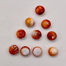 Load image into Gallery viewer, Spiny Oyster Flat Round Bead Parcel | 8x4mm | Orange White | 10 Beads |
