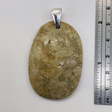 Load image into Gallery viewer, Coral Fossilized with Tiny Critters Sterling Silver Pendant | 2 1/4" Long |