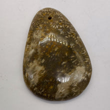 Load image into Gallery viewer, Fossilized Coral Teardrop Pendant Bead | 60x42x8 | Gray White | 1 Bead |