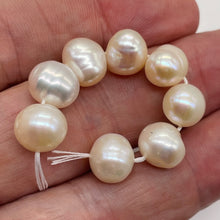 Load image into Gallery viewer, Natural Rich Cream Pink Fresh Water Pearl Parcel | 9 to 10mm | 8 Pearls |