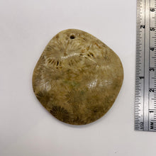 Load image into Gallery viewer, Coral Fossilized with Tiny Critters Pendant Bead | 46x43x8mm | 1 Bead |