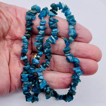 Load image into Gallery viewer, Apatite Bead Strand | Chip | 11x8x5 to 7x5x4mm | Blue | 200 Beads |