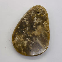 Load image into Gallery viewer, Fossilized Coral Teardrop Pendant Bead | 60x42x8 | Gray White | 1 Bead |