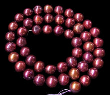 Load image into Gallery viewer, Golden Raspberry 7-9x7.5mm FW Pearl Strand 108315