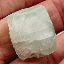 Load image into Gallery viewer, Apophyllite Collectors Crystal | 20g | 25x23x22mm | Green | 1 Display |Specimen|