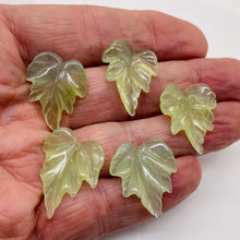 Load image into Gallery viewer, Carved Serpentine New Jade Leaf Bead Set | 26x21x4 to 28x22x4mm | 5 Beads |