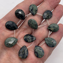 Load image into Gallery viewer, Kambaba Jasper Faceted Briolette Bead 8 inch Strand 7304HS