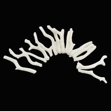Load image into Gallery viewer, Coral Branch Beads | 37x3 to 30x2mm | White | 14 Beads |