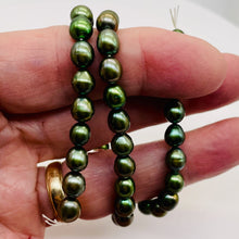 Load image into Gallery viewer, Fresh Water Pearls 16" Strand | Oval | 8x7mm | Rainbow Evergreen | 50 Pearls |