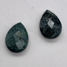 Load image into Gallery viewer, 2 Kambaba Jasper Faceted Briolette Beads 7304