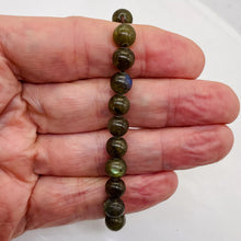 Load image into Gallery viewer, Labradorite Strung Round Bead 7" Strand | 8mm | Gray Blue | 21 Beads |