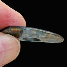 Load image into Gallery viewer, AAA Natural Abalone Pi Circle Pendant Necklace 107220