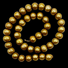 Load image into Gallery viewer, Golden Horizons Large Fresh Water Pearls } 10 to 11mm | 8 Pearls |
