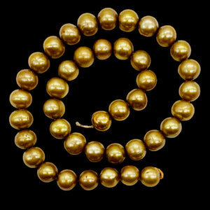 Golden Horizons Large Fresh Water Pearls } 10 to 11mm | 8 Pearls |