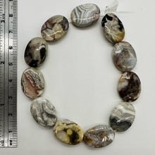 Load image into Gallery viewer, Wild Crazy Lace Agate Bead Focal 8 inch Strand 104581HS
