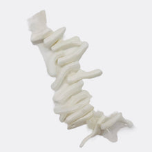 Load image into Gallery viewer, Coral Branch Beads | 16x3 to 12x2mm | White | 14 Beads |