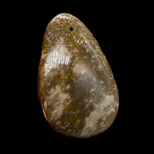 Load image into Gallery viewer, Fossilized Coral Teardrop Pendant Bead | 60x42x8 | Gray White | 1 Bead |