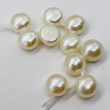 Load image into Gallery viewer, 10 top-Drilled Creamy White Fresh Water Pearls 4762