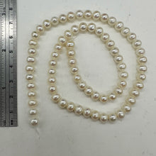 Load image into Gallery viewer, AAA Natural Wedding White Round 6.5-6mm FW Pearl Strand 104499