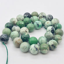 Load image into Gallery viewer, 2 Spiderweb Green Turquoise 12mm Round Beads 7535