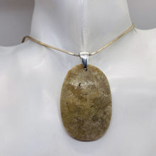 Load image into Gallery viewer, Coral Fossilized with Tiny Critters Sterling Silver Pendant | 2 1/4" Long |