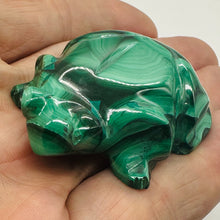 Load image into Gallery viewer, Malachite 65G Gemstone Carving Frog Figurine1 Specimen |