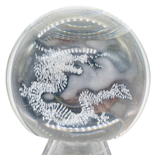 Load image into Gallery viewer, Dragon in Quartz Sphere 233g(8oz) | 55mm (2.2") | Clear | 1 Display Specimen |