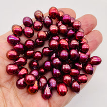 Load image into Gallery viewer, 6 Radiant Raspberry Teardrop Briolette Pearls 10131