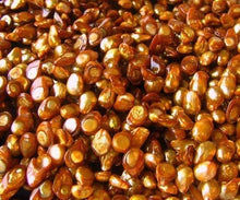 Load image into Gallery viewer, Fab! Caramel Pearl Blister Pendant Bead Strand 108073
