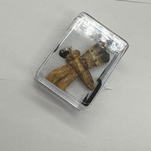 Load image into Gallery viewer, Picture Jasper Stone Dragonfly Pendant | 3/4' Long | Brown, Black | 1 Pendant |