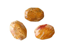 Load image into Gallery viewer, Exotic 3 Fossilized Coral Cameo Cut Pendant Beads 7384B